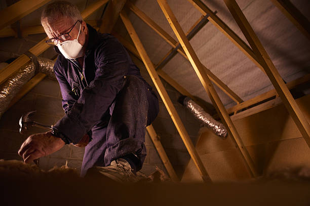 Best DIY Insulation Kits and Guidance in New Smyrna Beach, FL